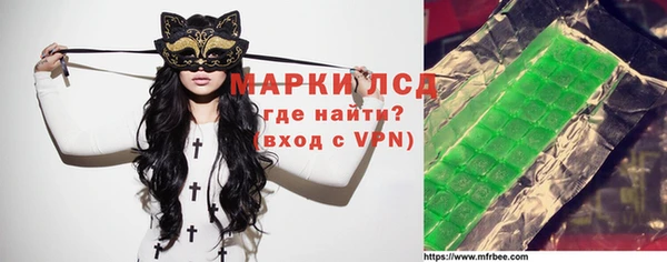 хмурый Арсеньев