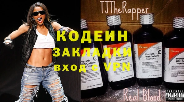 хмурый Арсеньев