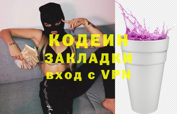 хмурый Арсеньев