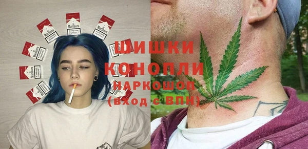 хмурый Арсеньев