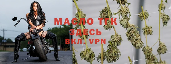 хмурый Арсеньев