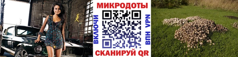 Галлюциногенные грибы Cubensis  Можайск 