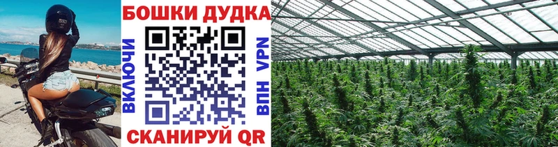 Канабис Amnesia  Можайск 